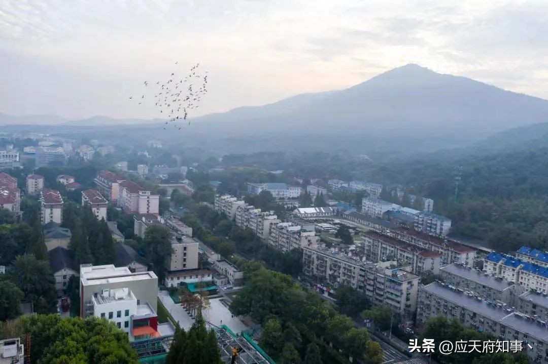 南京板仓街规划图,南京板仓街属于哪个区