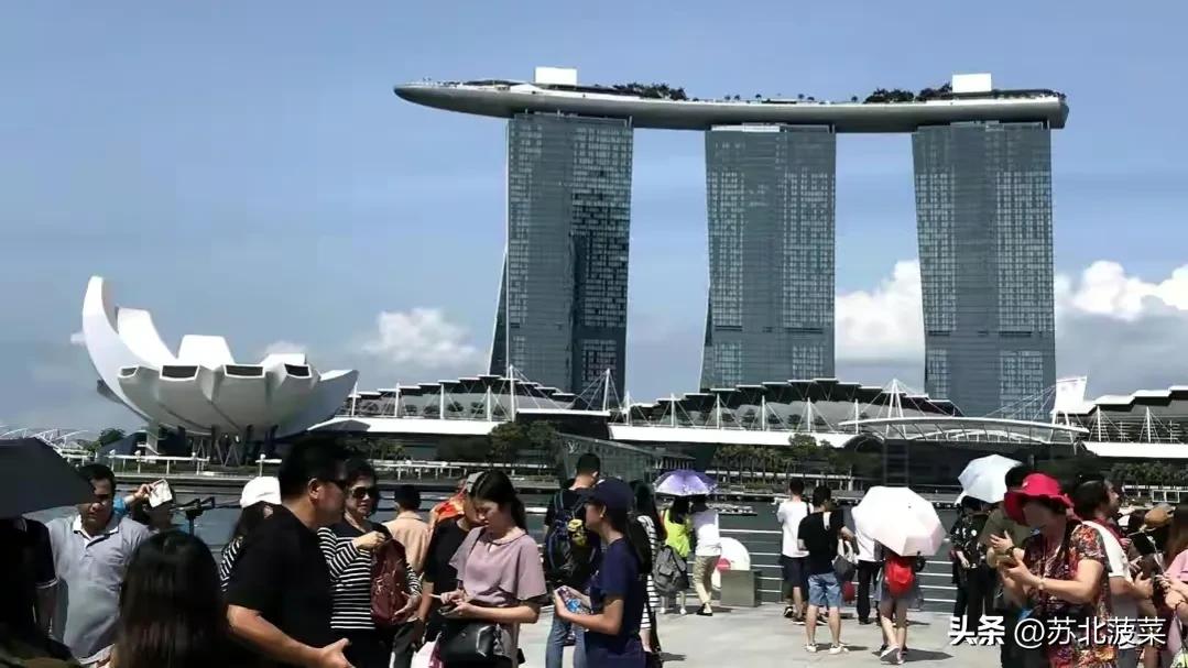 去新加坡打工需要具备什么条件,掌握哪些技能去新加坡务工