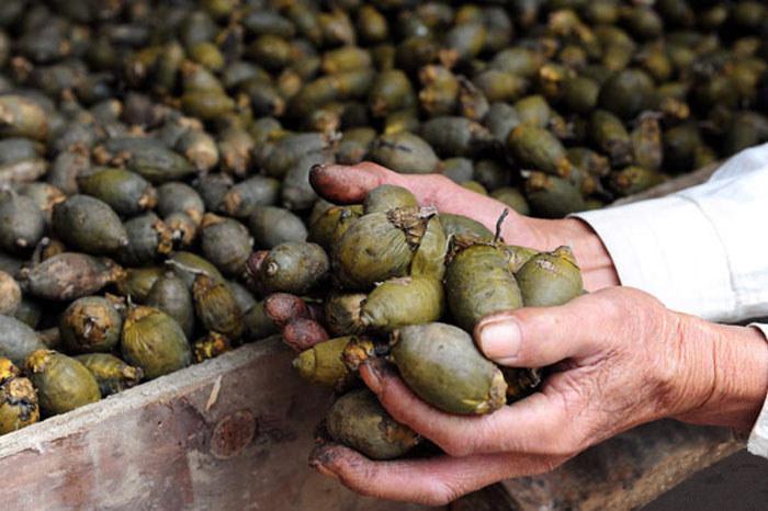 槟榔：6000万中国人的“定时*弹炸**”，有人心存侥幸，有人浑然不知