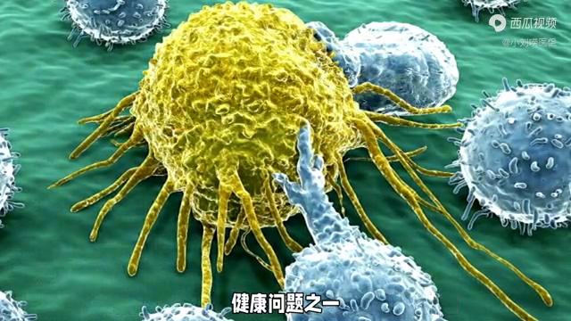 癌症病人补贴新政策,癌症晚期医保政策