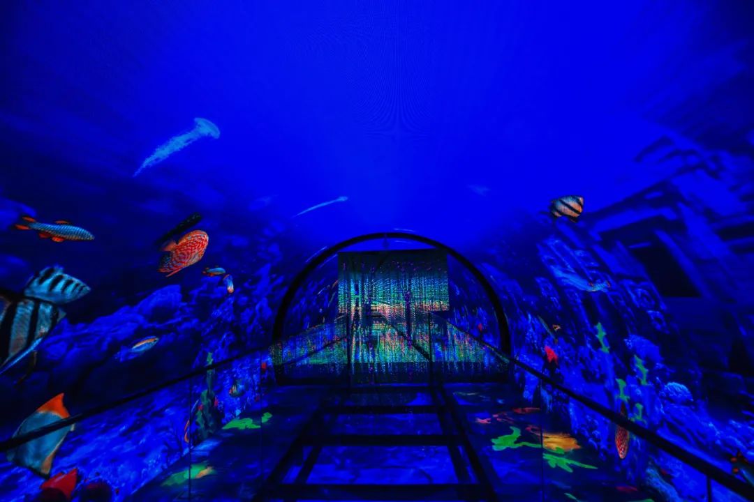 金华适合大学生旅游的地方,金华9月最值得去的地方