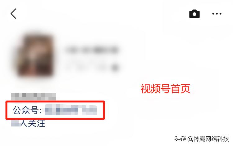 新号视频引流多需要加播吗,视频号引流的最快方法是什么呢