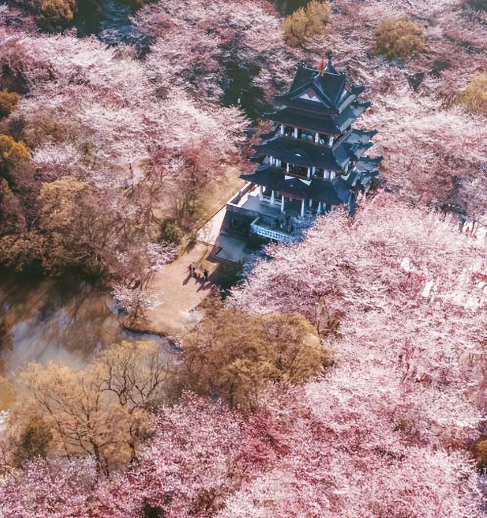 旅游江苏最值得去的地方,江苏有哪些值得旅游的地方和景点