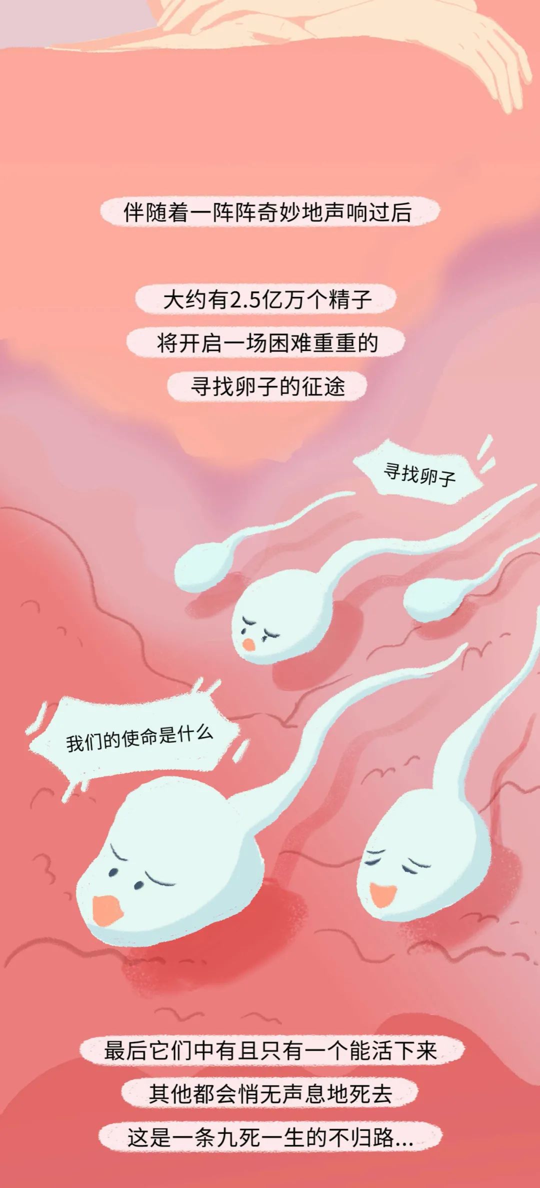 精子进入女生体内的全过程！（漫画）
