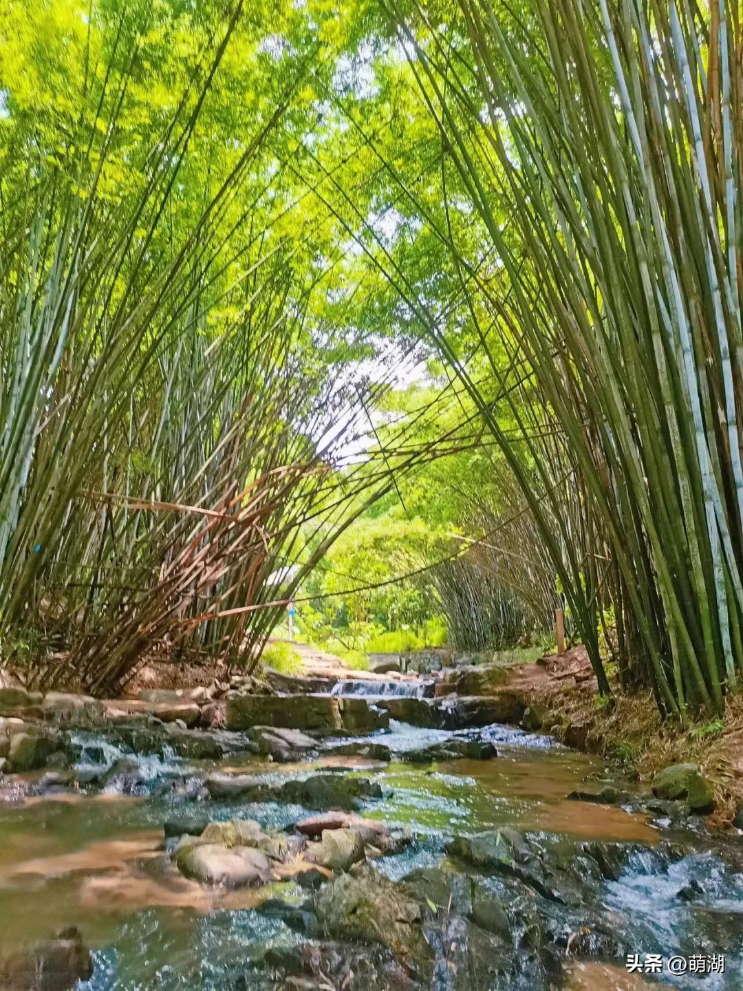 广州这个竹林溯溪胜地玩水,清凉避暑好去处山洞里一起来玩水