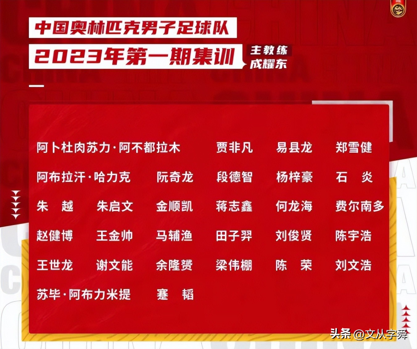 鲁能队谢文能,谢文能山东泰山青训