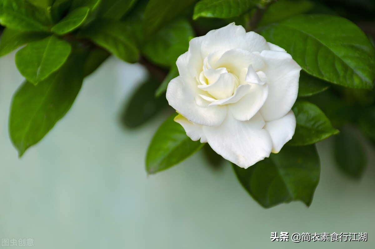 她做保姆这些年之豪门生活全集,她做保姆的这些年豪门生活之八