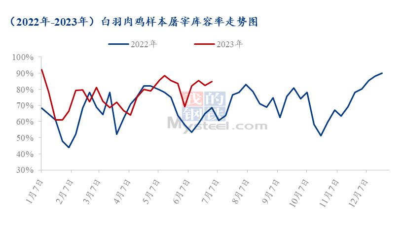 2023白羽肉鸡今后行情分析,白羽肉鸡市场分析