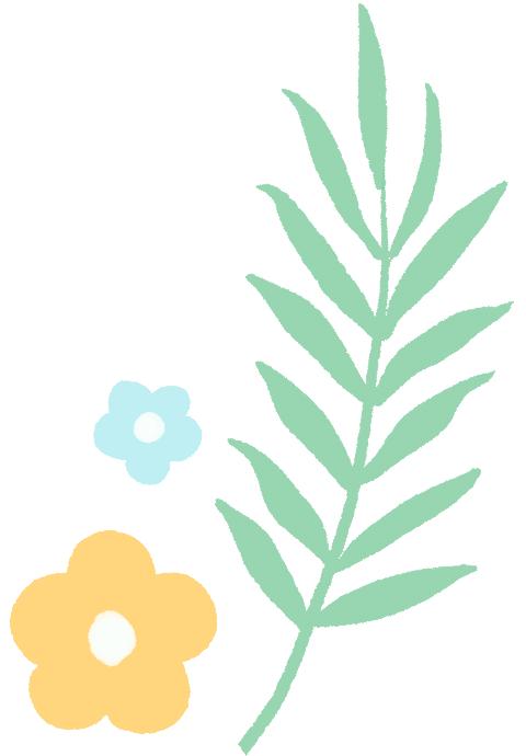 涉税人员信息采集怎么操作,涉税服务人员信息采集怎么修改