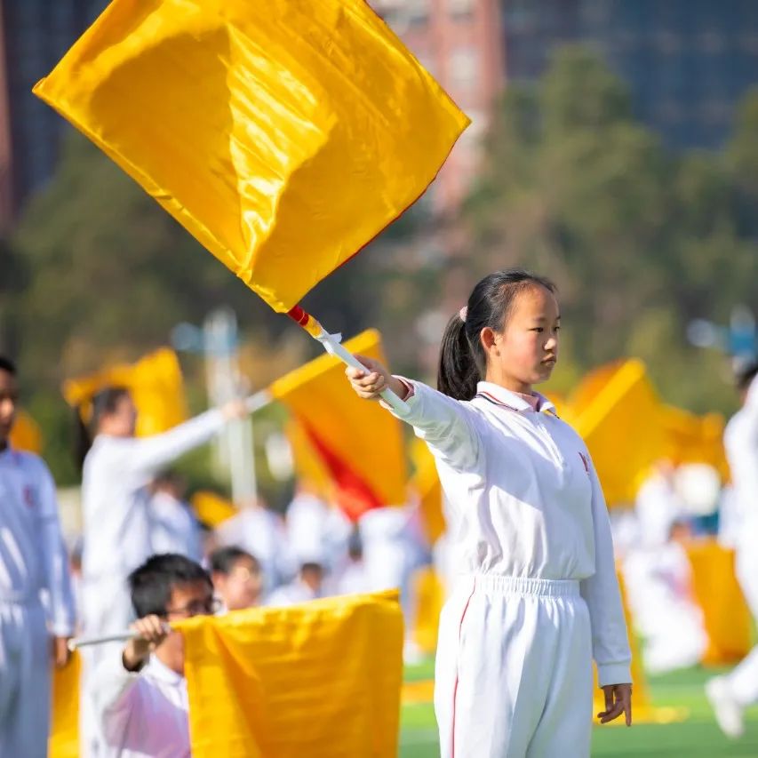 德才兼备，艺体并进！昆十中、白塔中学体育嘉年华圆满落幕