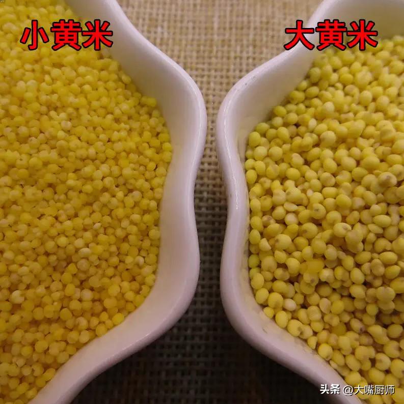 长的跟麦子一样的叫什么米,小米和黄米区别是什么