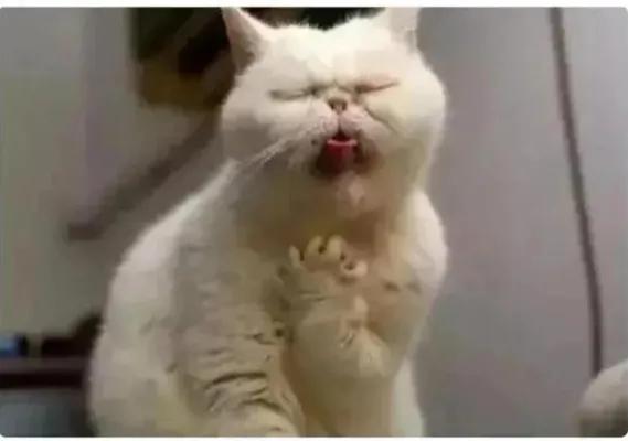 大名方言生僻字,菏泽县城生僻字