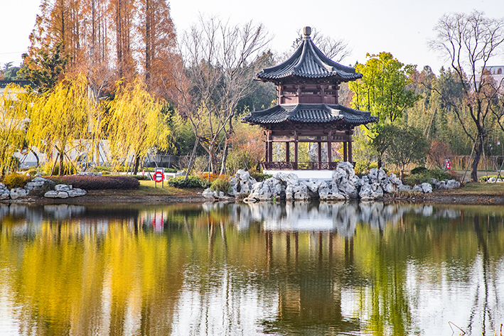 豫南一县城冒出“苏州园林”，盛世造园杰作入选中国园林精品范例