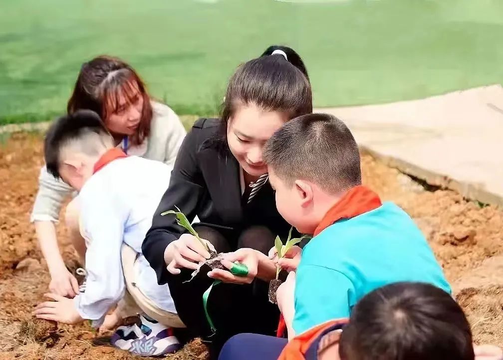 2019年一年级招生简章,2022年公办学校一年级怎么招生