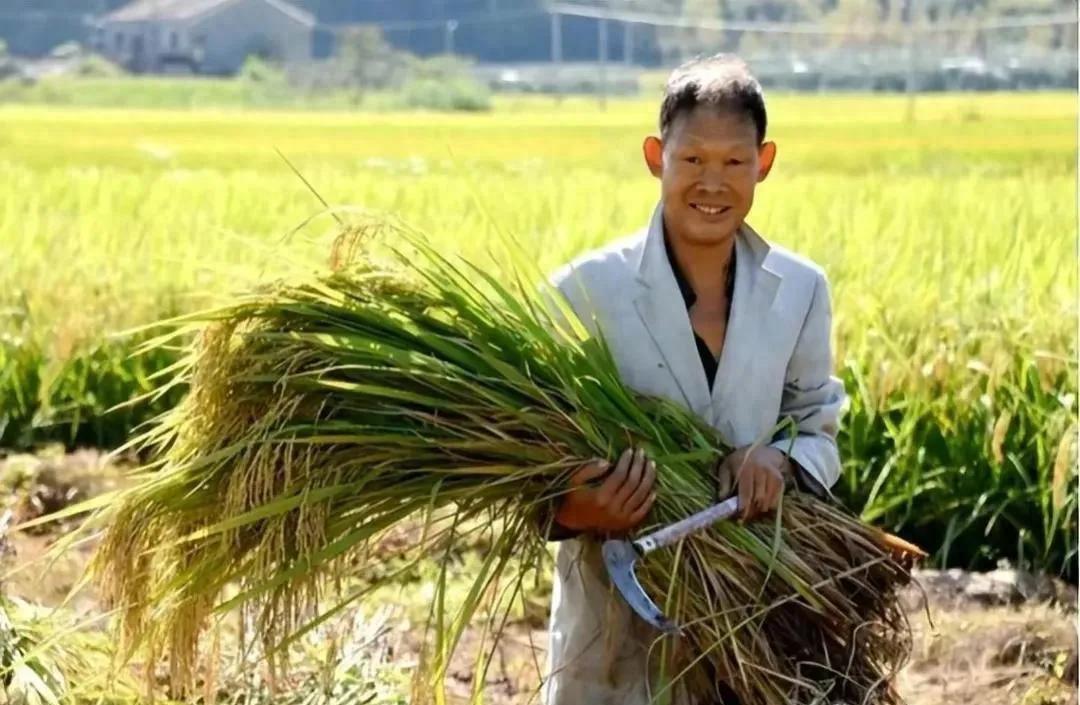 种粮补贴没有按实际亩数补,种粮补助没有到哪个部门找