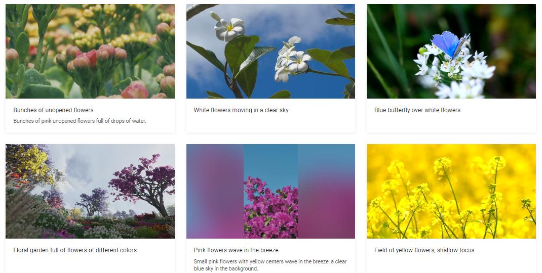 搞笑视频素材网站干货,新手必备的免费素材网站