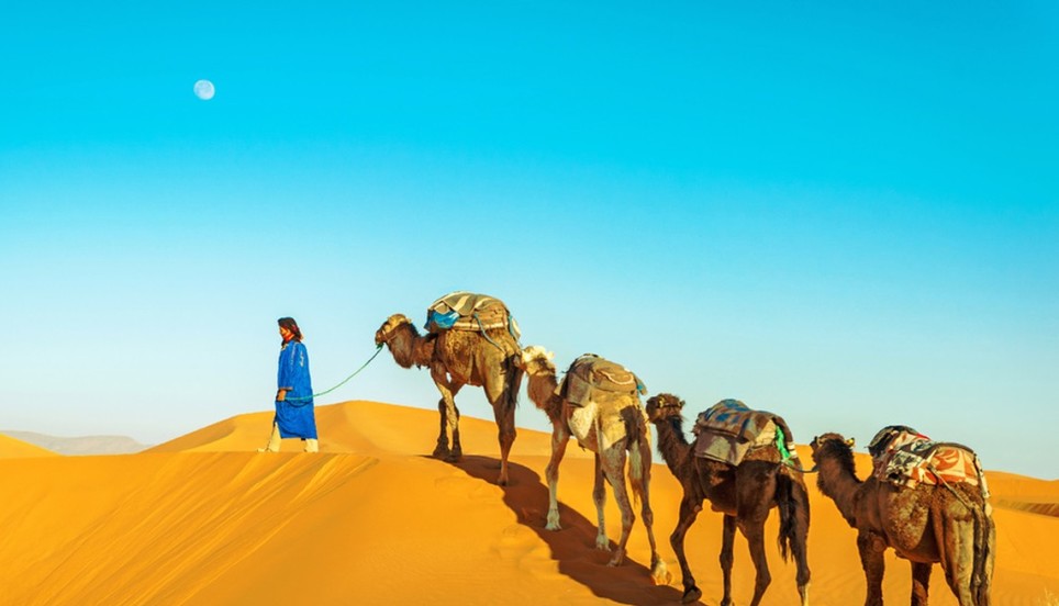 摩洛哥酒店视频,摩洛哥酒店住哪里方便