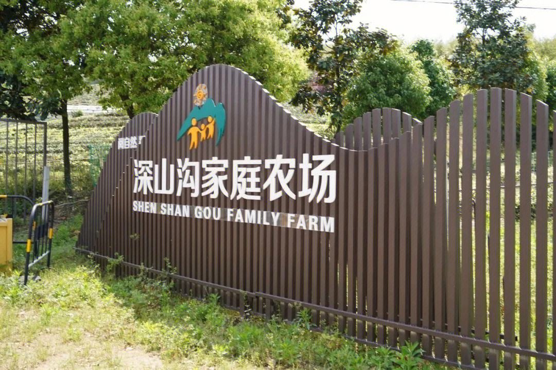 20大返乡创业有哪些政策,创业青年返乡创业有什么政策扶持