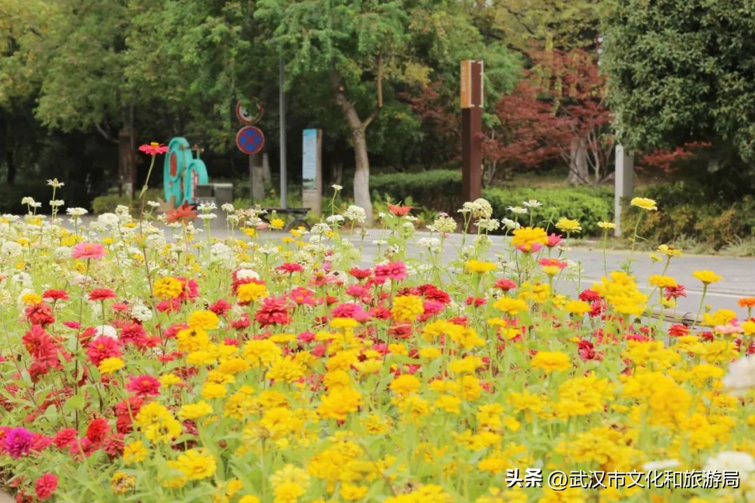 秋天的公园像一幅美丽的油画,园博园油画