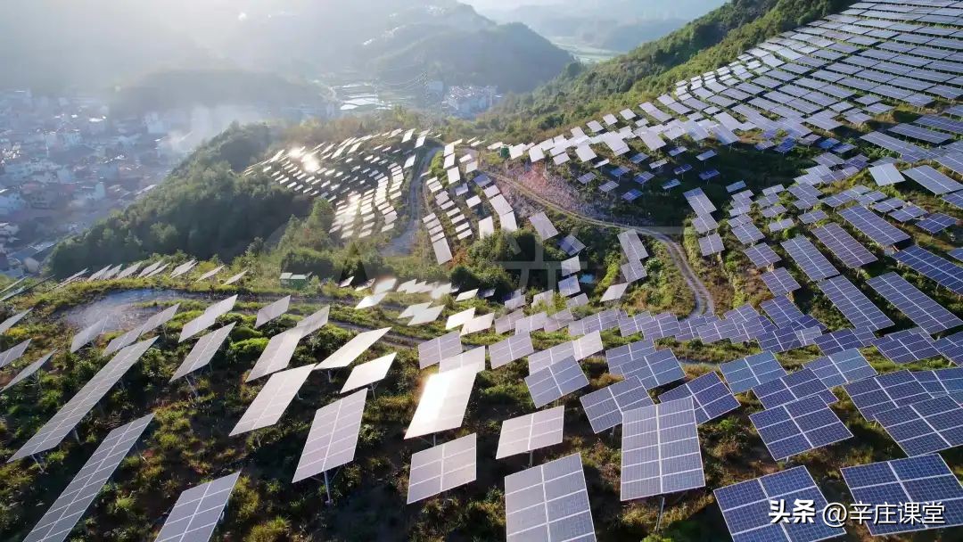 徐林服务业转型,徐林现在情况