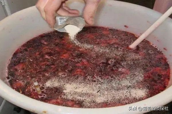 正宗葡萄酒酿造法,葡萄酒酿造步骤精简