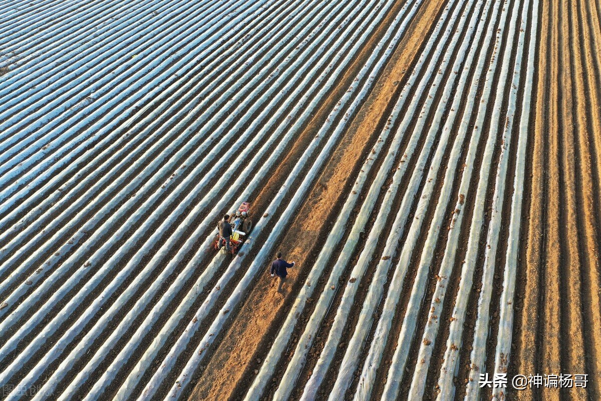 农业创业新思路和方法,干货分享创业项目