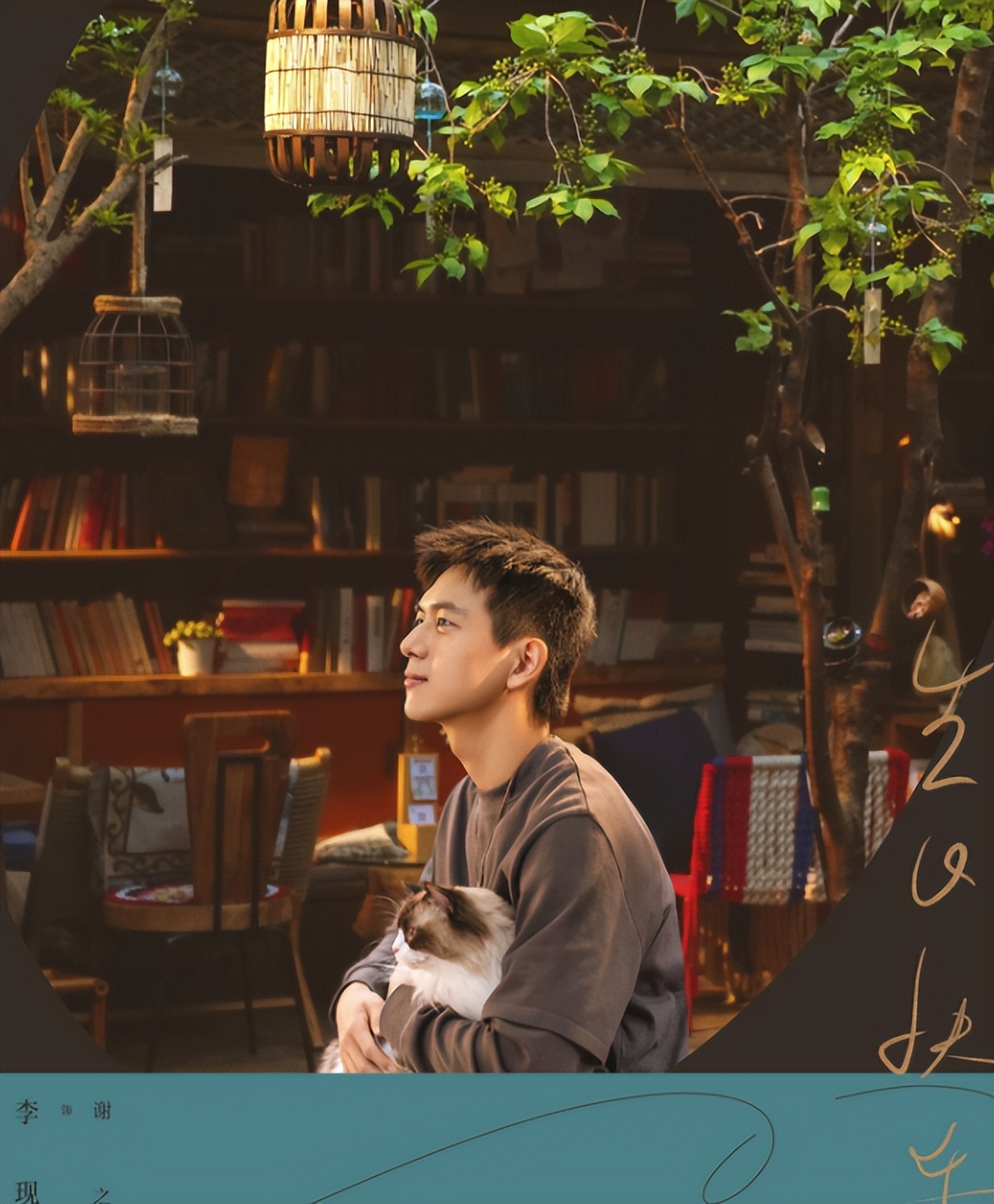 6部预定爆款剧,央视六套热播剧