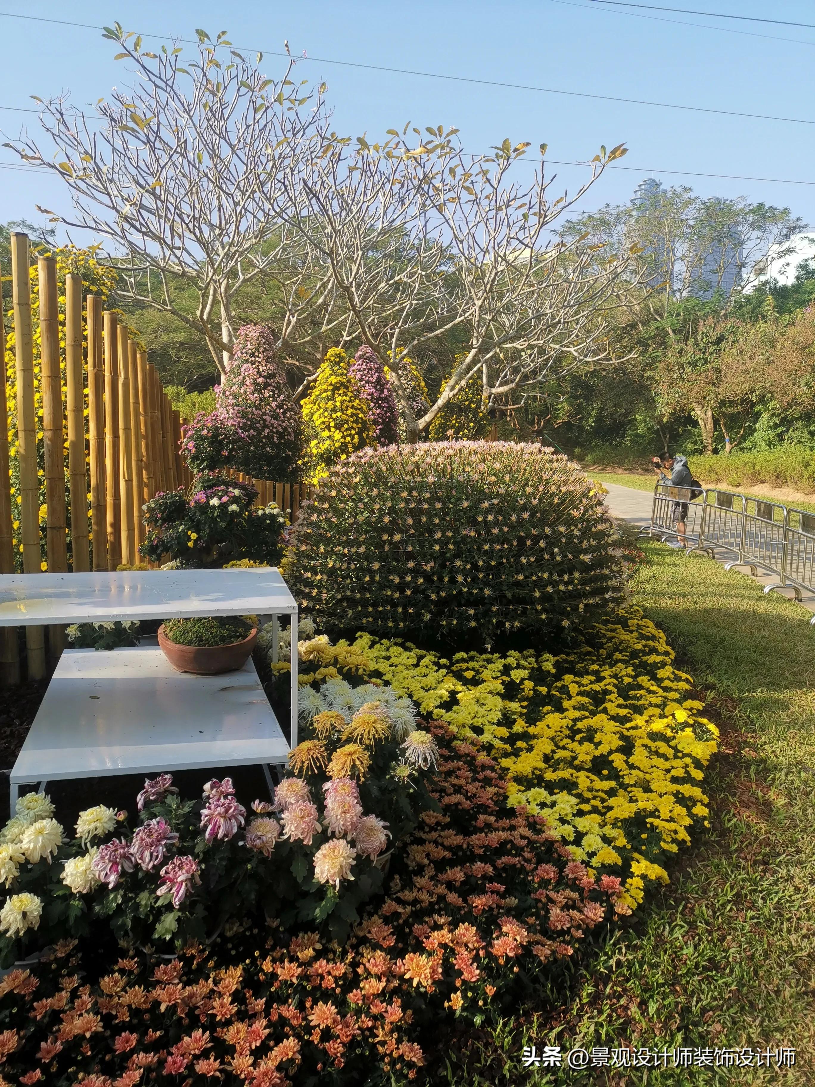 深圳市东湖公园广场舞,深圳市东湖公园收费标准