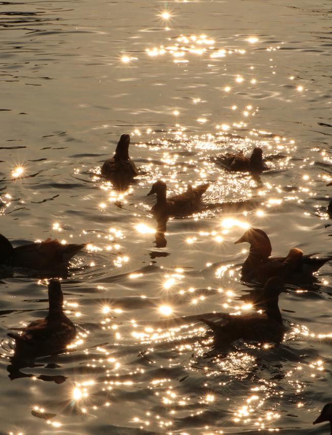 北纬52°1314，这个“为爱而生”的地方，连空气都是甜的