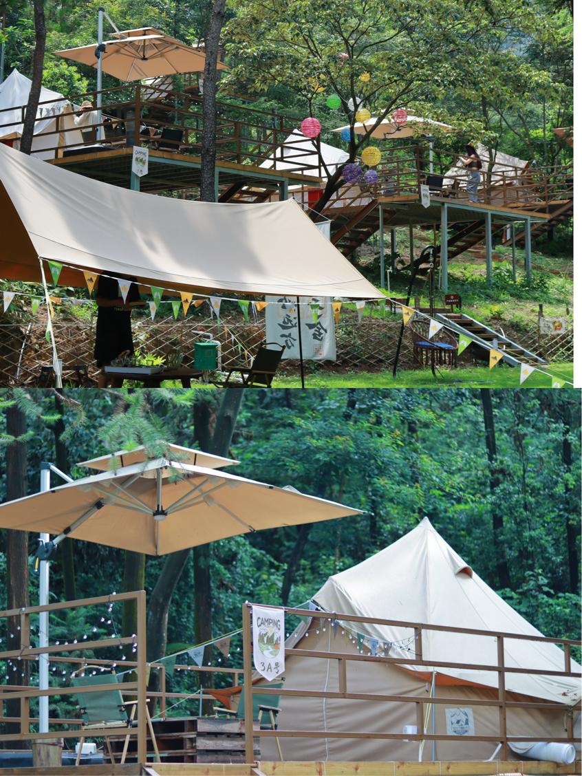 旅游年卡飞熊乐园,水上乐园年卡团购限几人