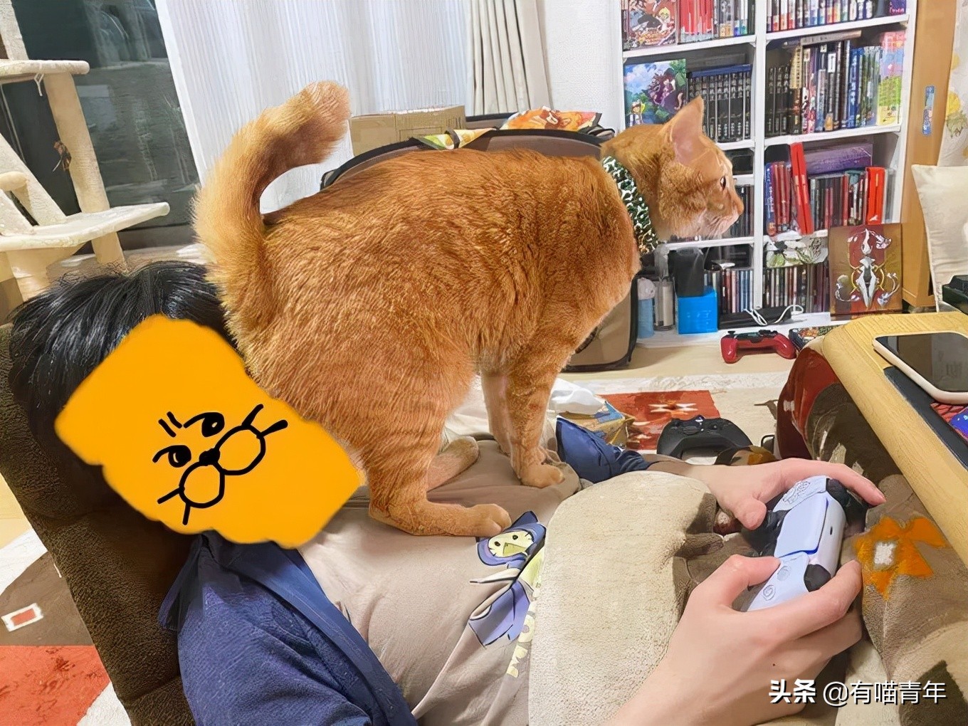 公鸡：他们在做啥午餐？猫：你老婆炖土豆
