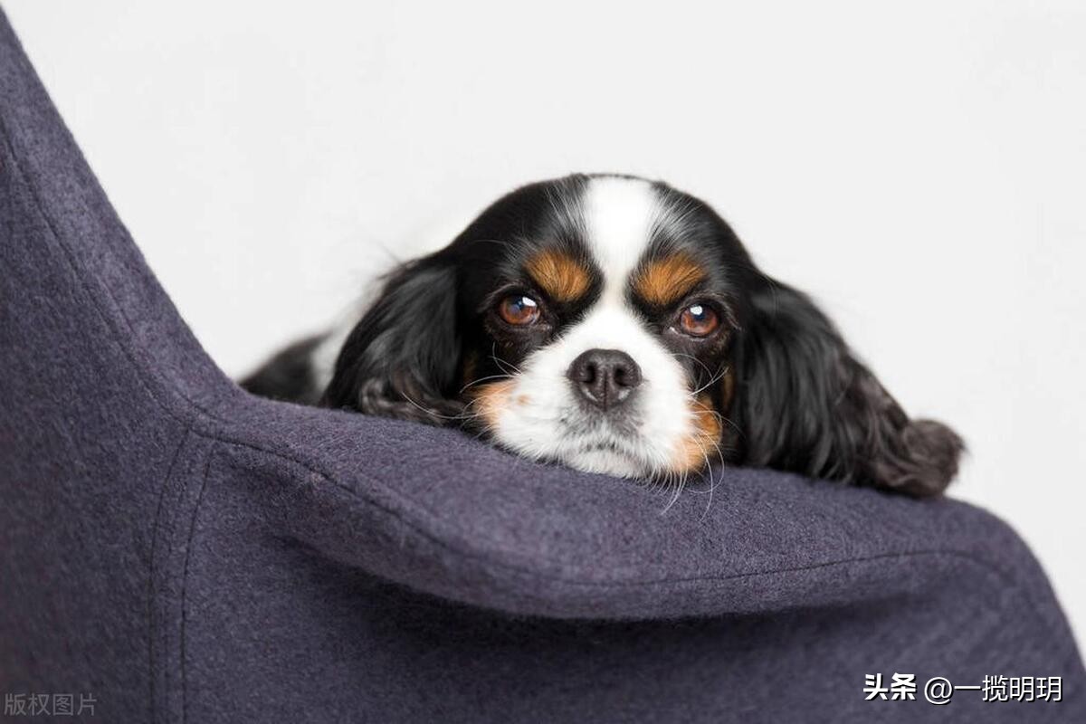 哪些网站是你一旦知道就离不开的,有哪些网站你一旦知道就离不开它