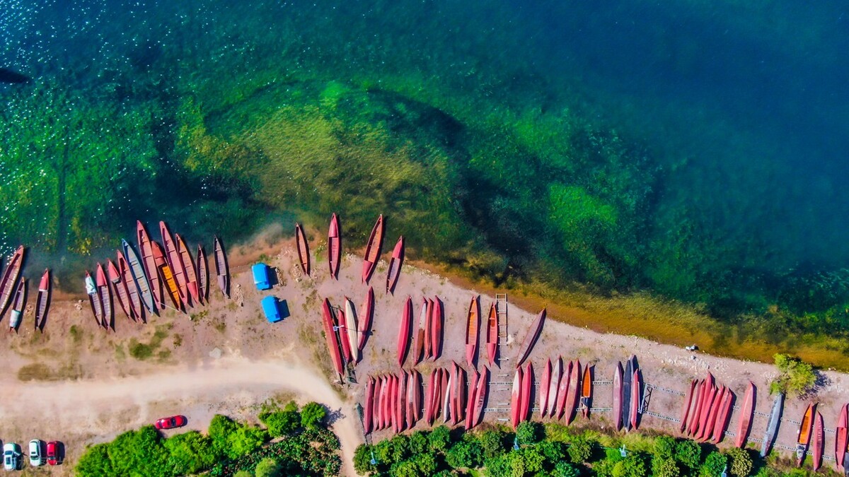 抖音创业文案吸引人的句子热门,抖音新年祝福文案吸引人的句子