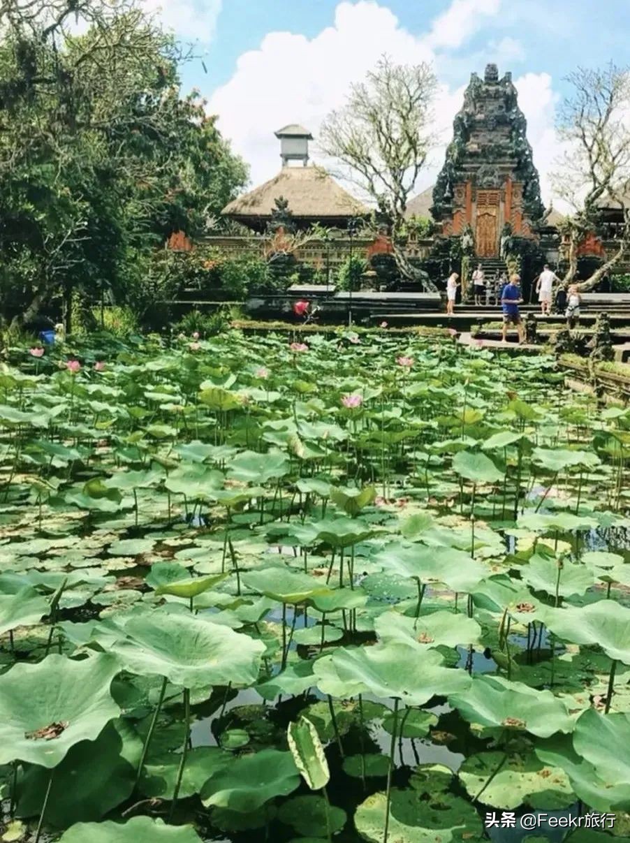 巴厘岛现在能落地签吗,中国对印尼开放落地签不