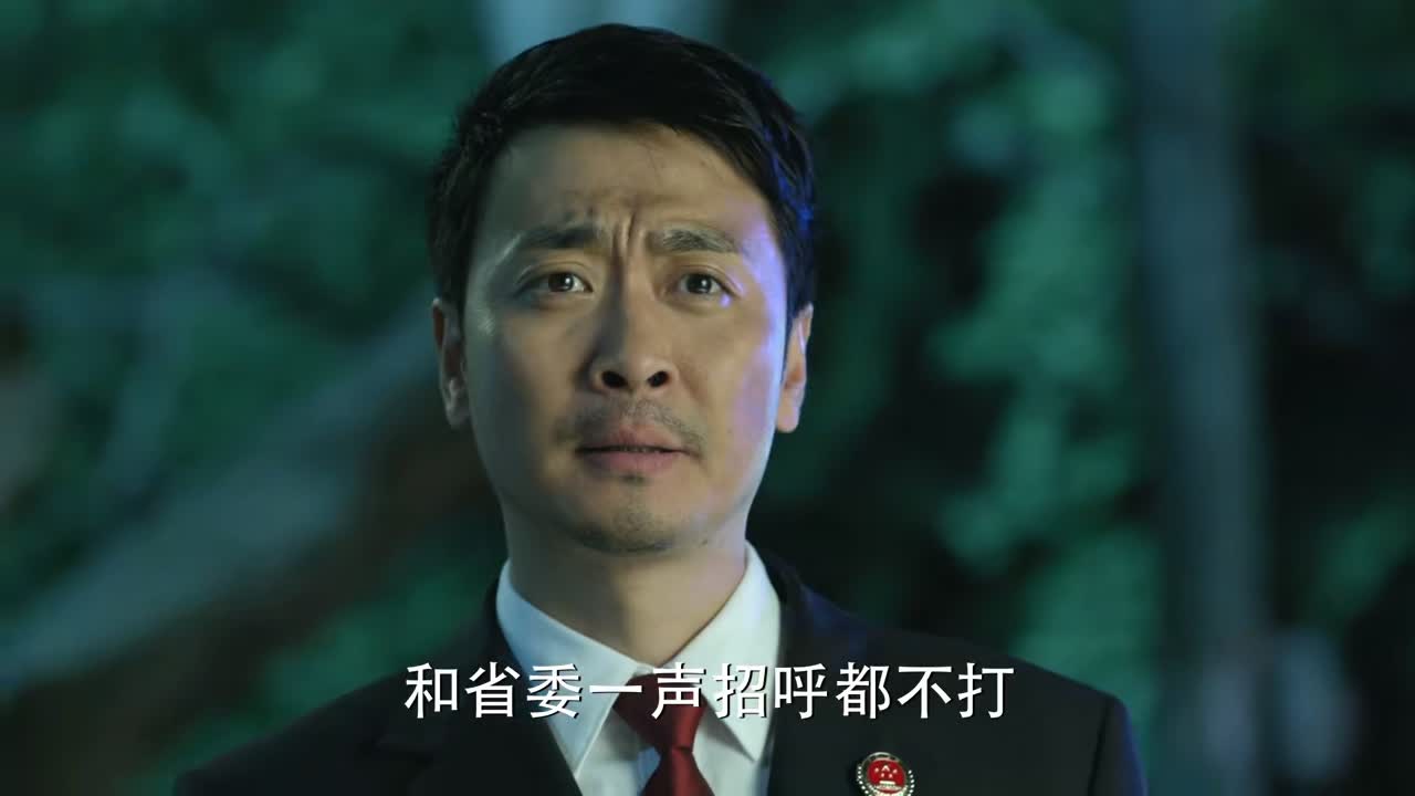 人民的名义丁义珍被抓回来了吗,陈海抓丁义珍被季昌明拦住片段