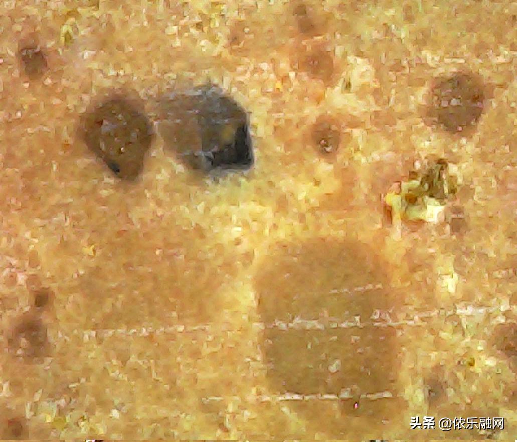 深色基质的都是碳质球粒陨石吗,红色基质黑色球粒是什么陨石