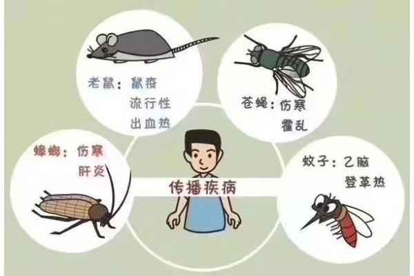 粘鼠板能把老鼠彻底消灭吗,为什么粘鼠板能把老鼠弄死