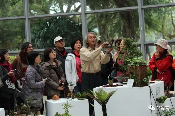 怎么入行盆景生意,花卉盆景生意