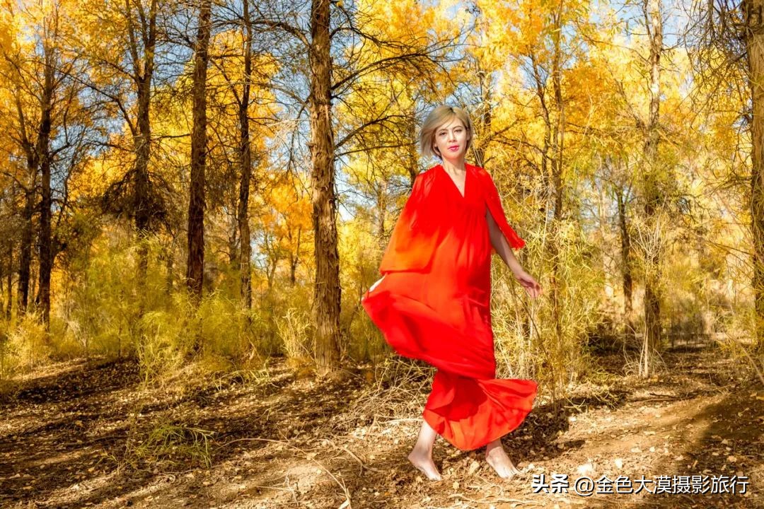 额济纳赏胡杨视频,赤峰额济纳赏胡杨