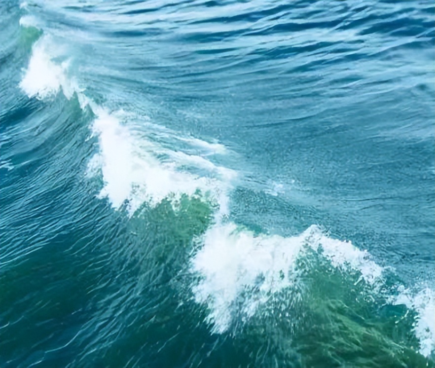 万万没想到被儿子拆穿了,万万没想到子墨偷狗