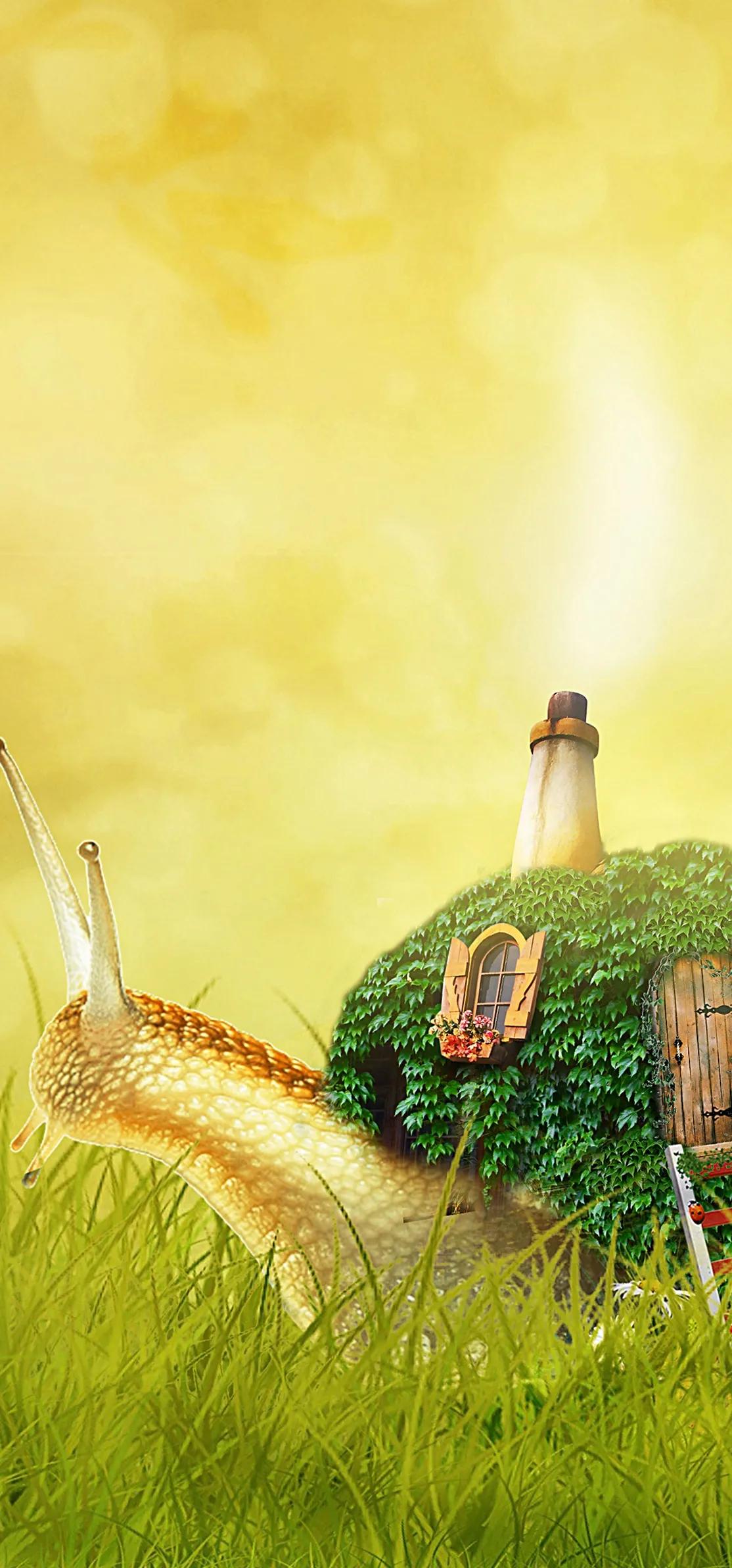 蜗牛高清壁纸4k全屏,蜗牛唯美动画壁纸