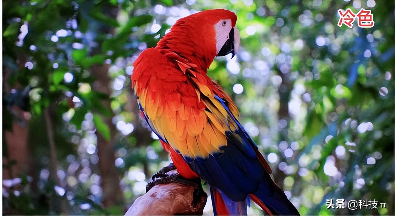 电视怎样调最佳图像,电视怎么调整显示比例