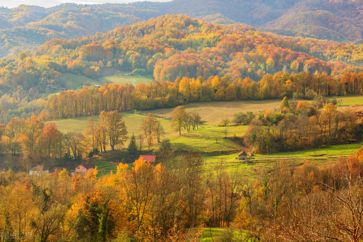 秋之韵散文完整版,最经典的秋之韵散文