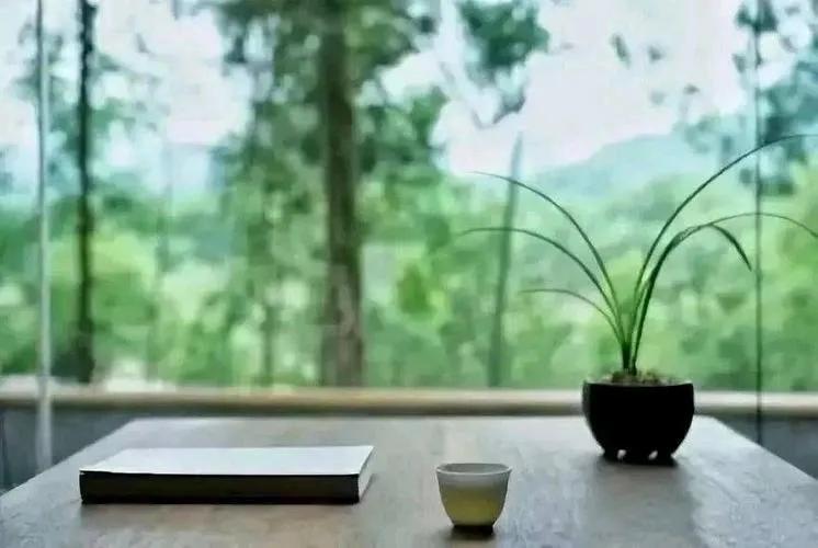 往事清零往后余生过好每一天,往事一去不复返珍惜当下的每一天