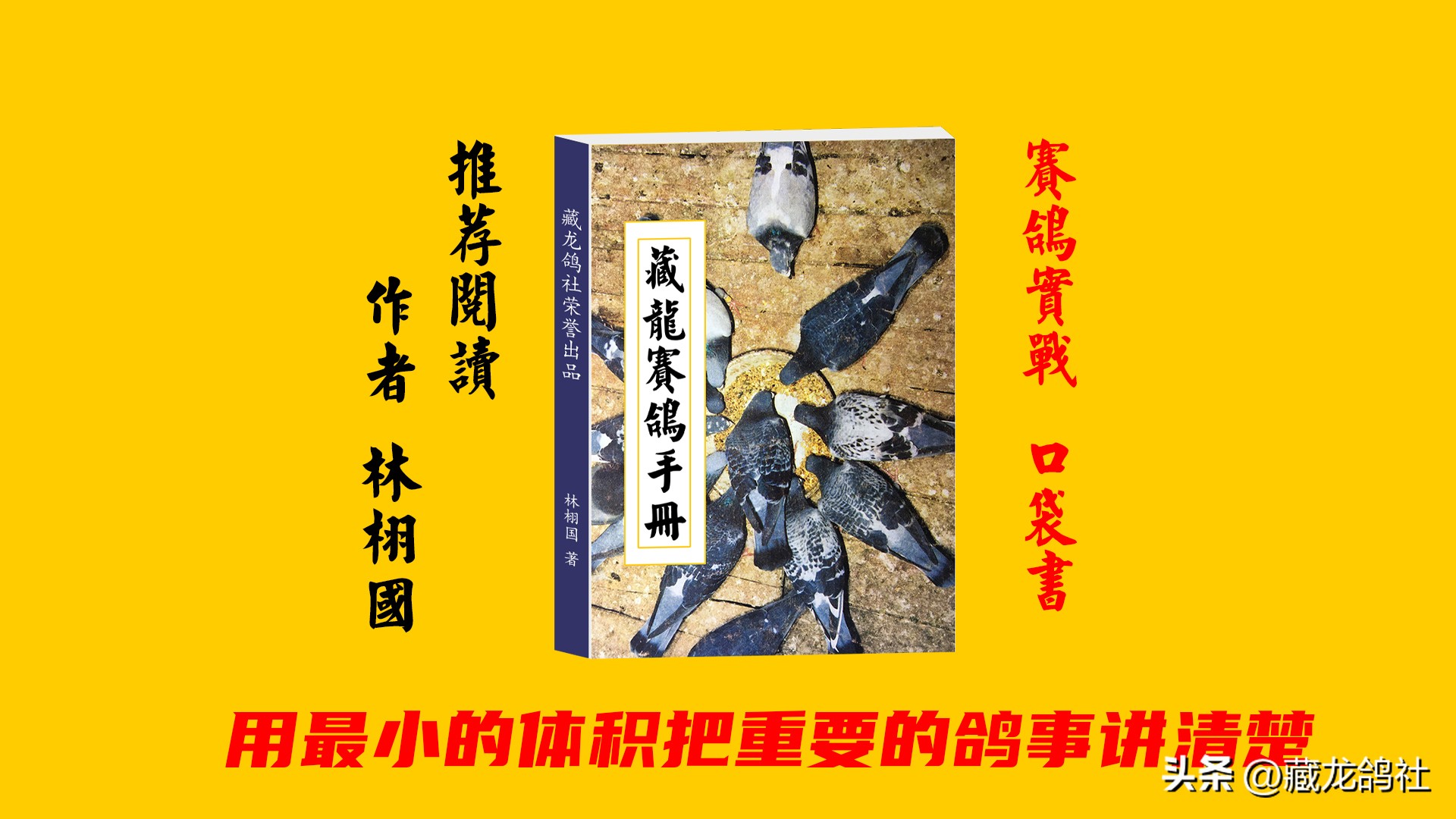 “洋天落”的正确使用姿势——青岛名将高赐德访谈录