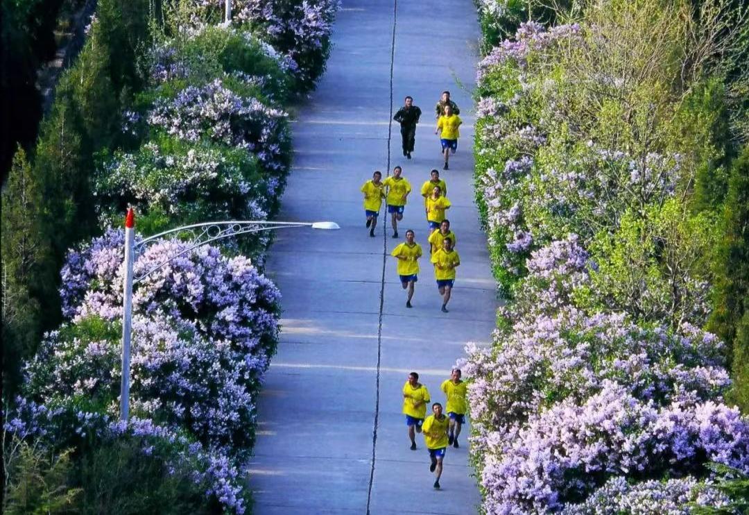 当兵的出路都有哪些方面,普通人当兵真的有出路吗