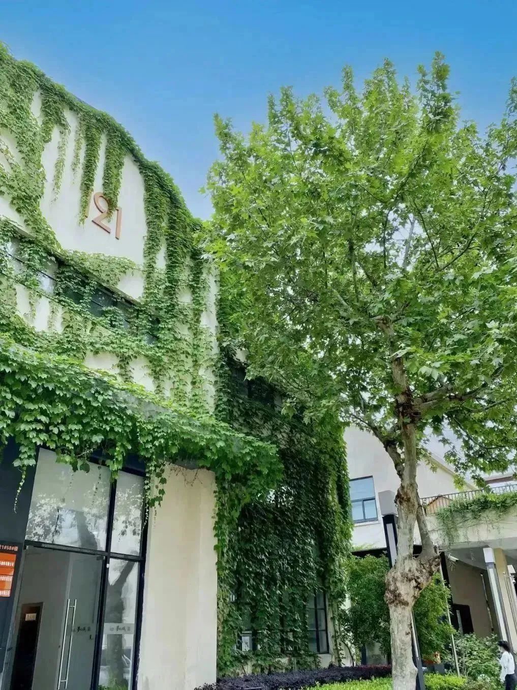 秦淮区的景区有哪些,秦淮最好看的地方