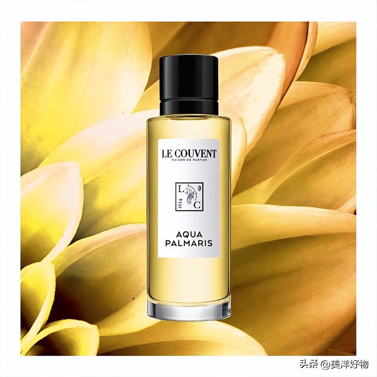 香水排行榜前十名雅诗兰黛,香水推荐大牌100左右秋冬女