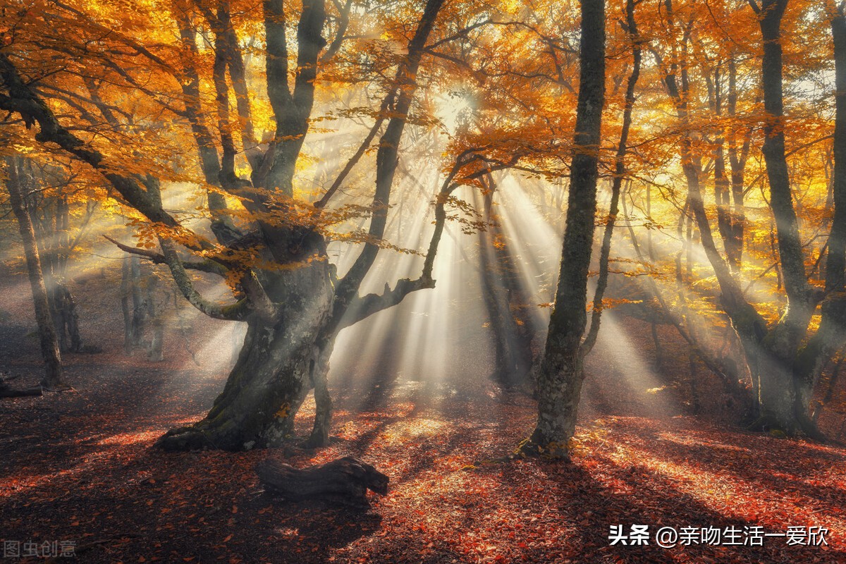 秋冬季节老年人警惕的五大问题,老年人秋冬季节怎么养生
