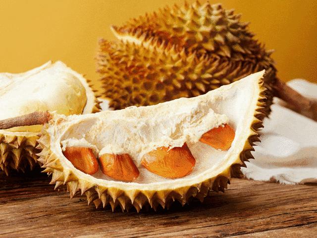 关注胃肠健康,关注肠道健康帮助远离肥胖